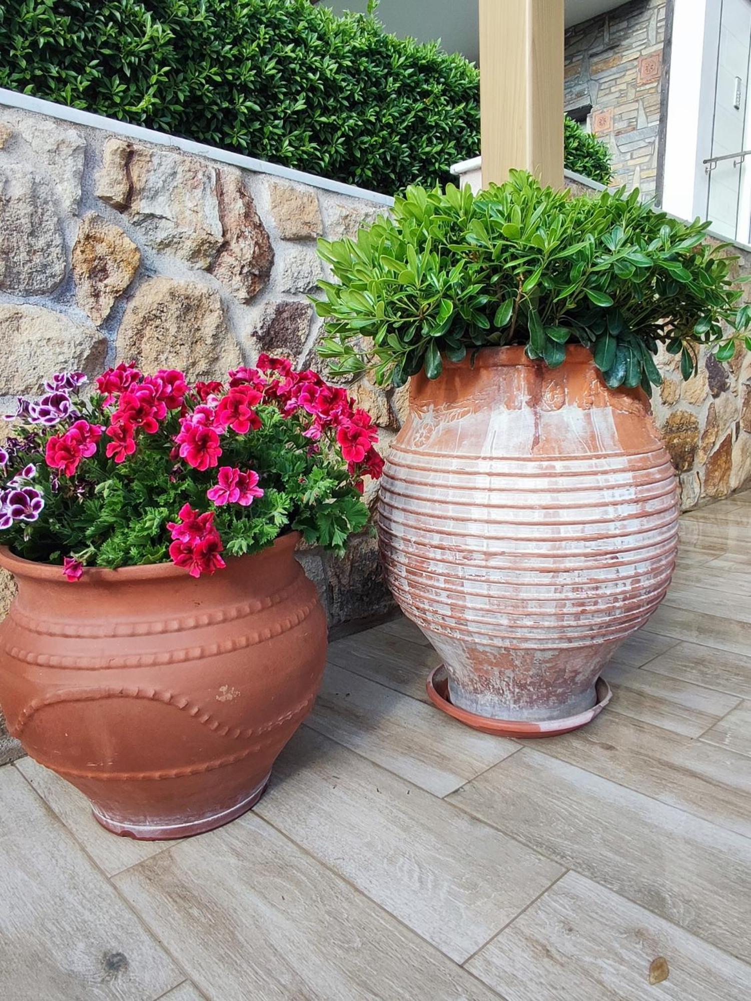 4 Seasons Suites Paradise Near Athens Airport Markopoulo Mesogaias Exterior photo